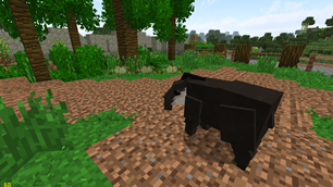 Tapir