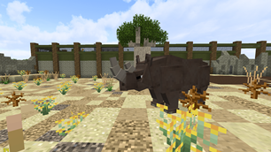 Black Rhino