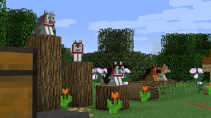 Dogs!