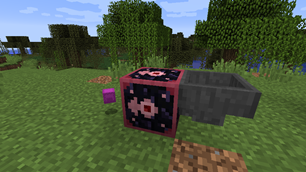 Entity Capability Proxy