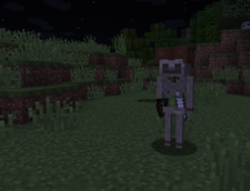 Skeleton Warrior Screen