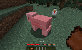 Desaddle pig