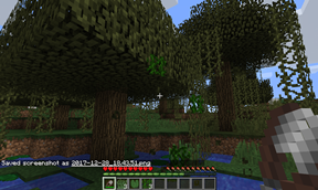 Harvest Hanging Vines