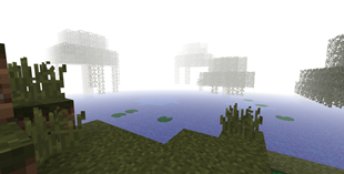 Misty Swamplands