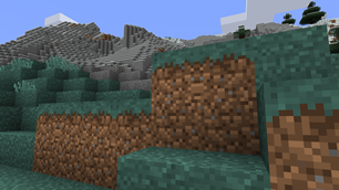 Grass