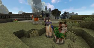 Llamas and 4 out of 16 unique decors