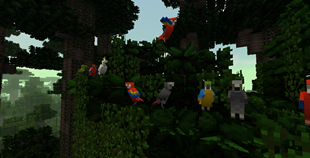 Parrots