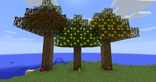Fruit Trees