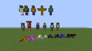 Group Photo