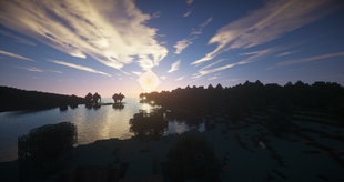 Woods sunset