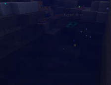 In the water