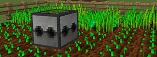 Composter in Action