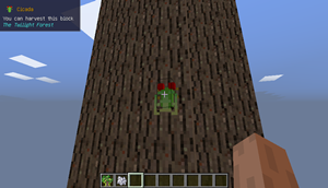 Display info about blocks