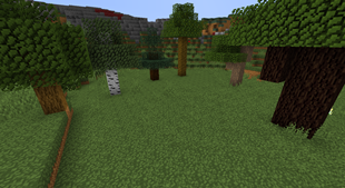 Trees