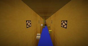 Level 3