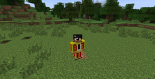 Bullfighter Armor