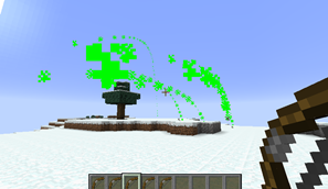 Arrow Trails