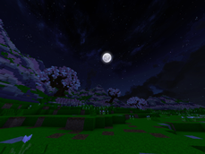 SCREEN-SHOT 2