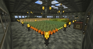 SINECRAFT