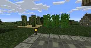 SINECRAFT