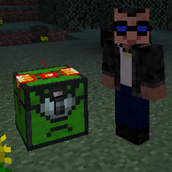 Guardian Chest