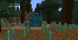 Internet Block