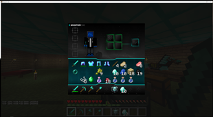 Survival Inventory
