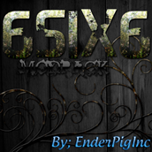 6six6 square image
