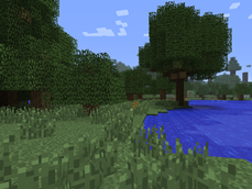 Biome