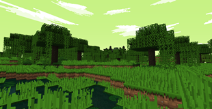 Swamp