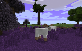 World Gen