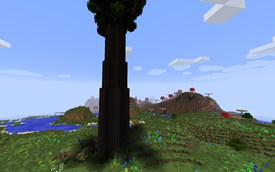World Gen