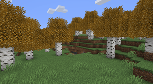 Birch Leaves Minecraft