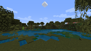 Swamp