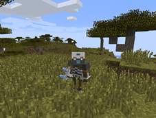 Armor