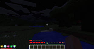 HUD
