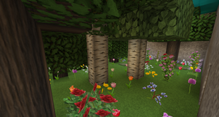 Flower Forest Display