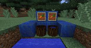 Crop Washing