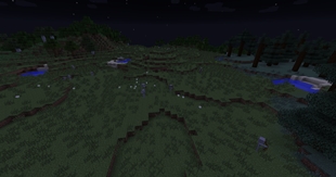 Skeleton Fields