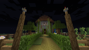 Build to show off some different blocks