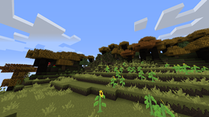 Roofed forest exterior