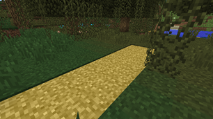 Grass path