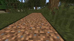 Dirt path