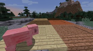 Plank paths: Approved by pigs since 2015