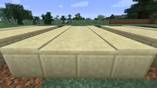 Smooth sandstone path