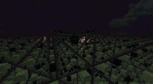 The Ender Dragon