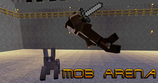 mob arena