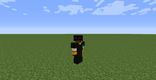 The Enderman Suit