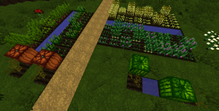 Crops