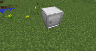 The Safe